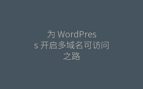 为 WordPress 开启多域名可访问之路